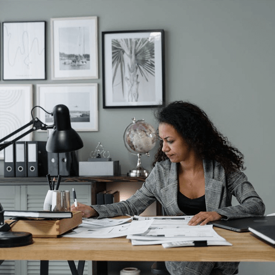 Savrelintix illustrazione dell'analisi delle prestazioni