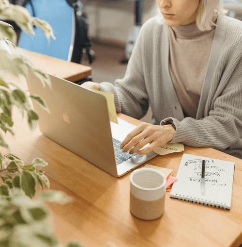 Savrelintix illustrazione del team di supporto